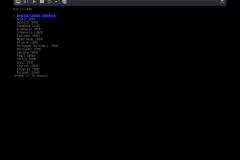 03-language-selection-of-archinstall